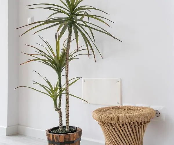 Foz - West Shore Retreat Lejlighed